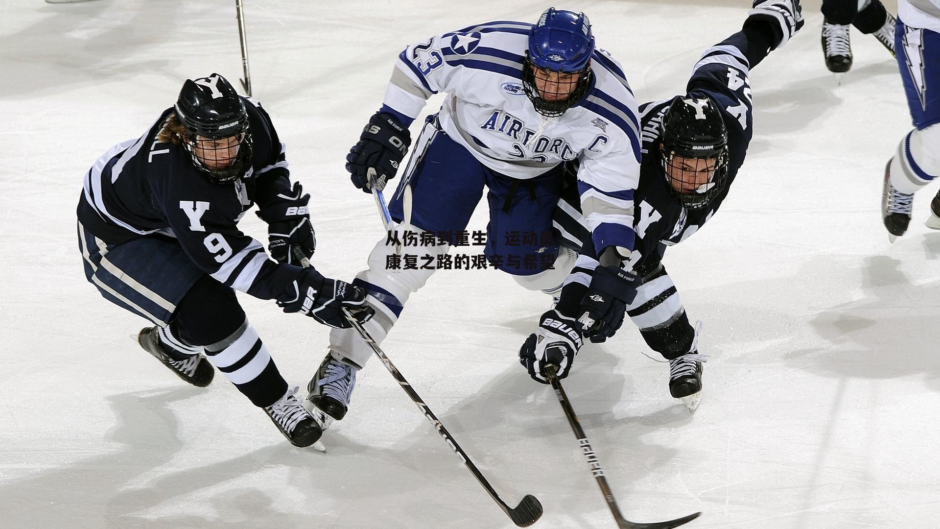 从伤病到重生,运动员康复之路的艰辛与希望