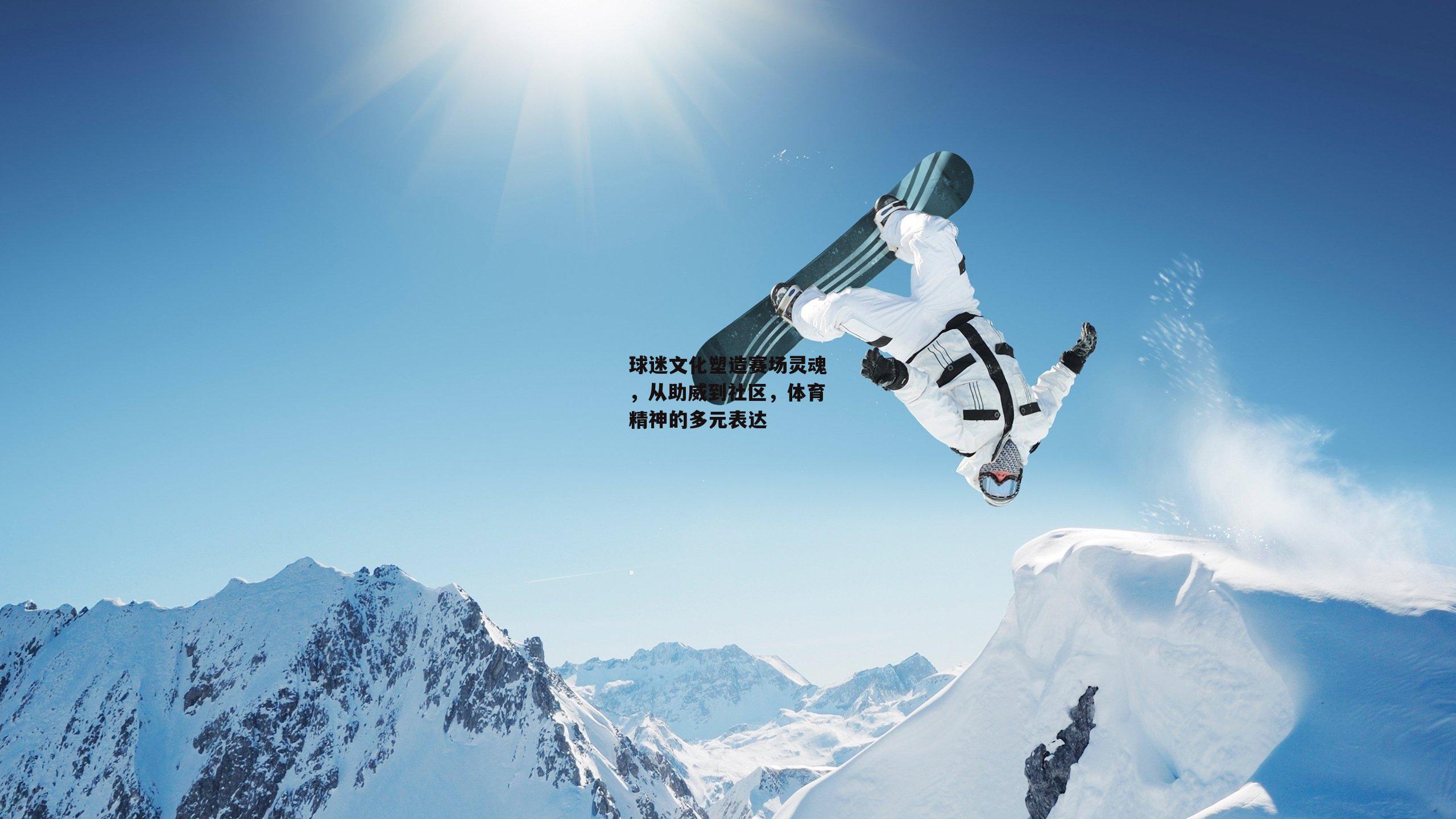 球迷文化塑造赛场灵魂，从助威到社区，体育精神的多元表达