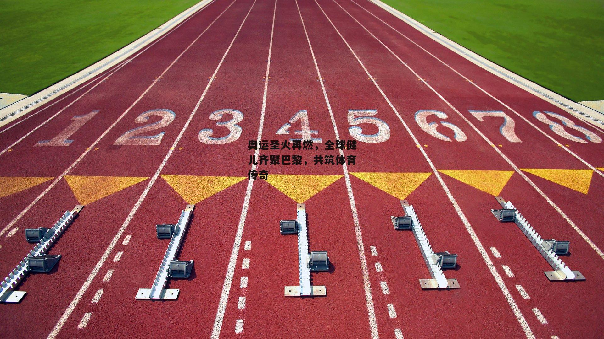 奥运圣火再燃，全球健儿齐聚巴黎，共筑体育传奇
